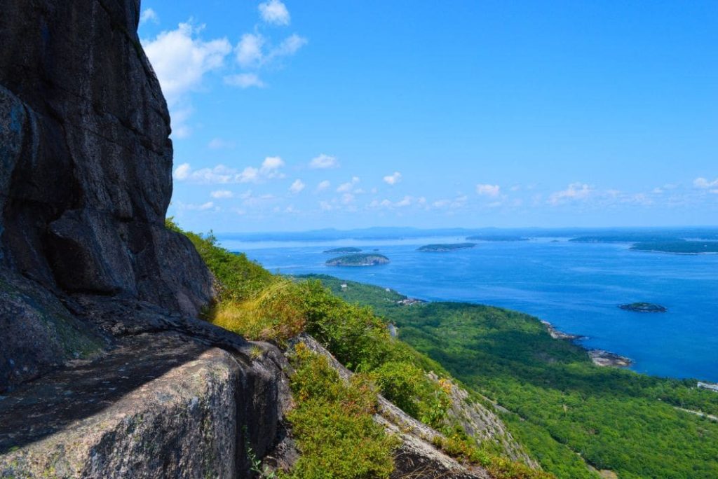 Top Dog-Friendly Activities in Acadia National Park