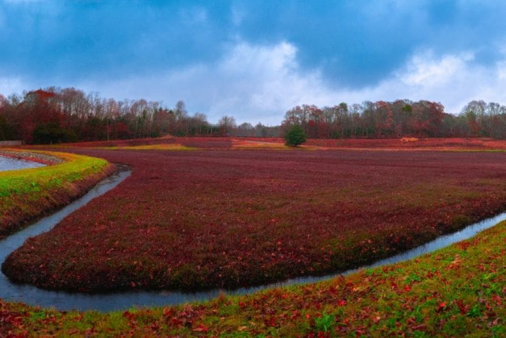 Is Cape Cod the Perfect Fall Getaway Destination?