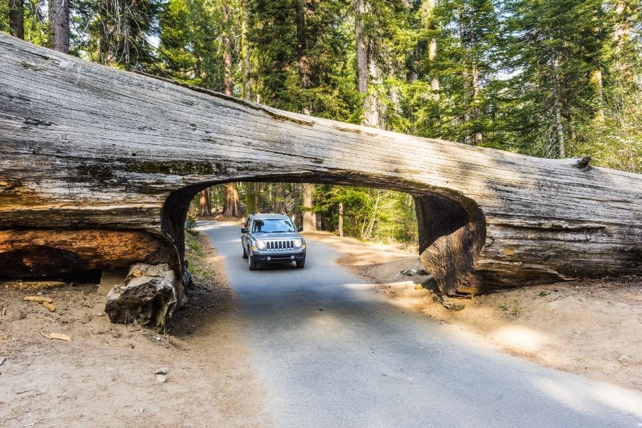 Can I Drive Through Sequoia National Park?