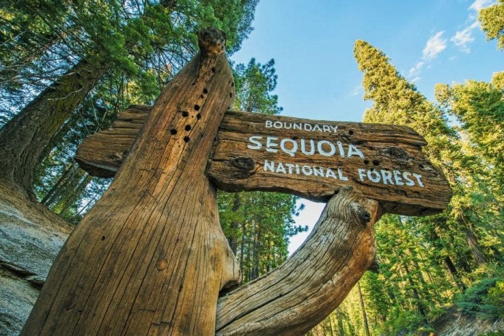 What’s the Difference Between Sequoia National Park and Kings Canyon National Park?
