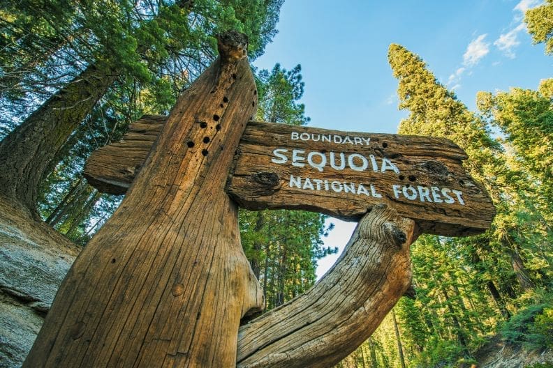 What’s the Difference Between Sequoia National Park and Kings Canyon National Park?