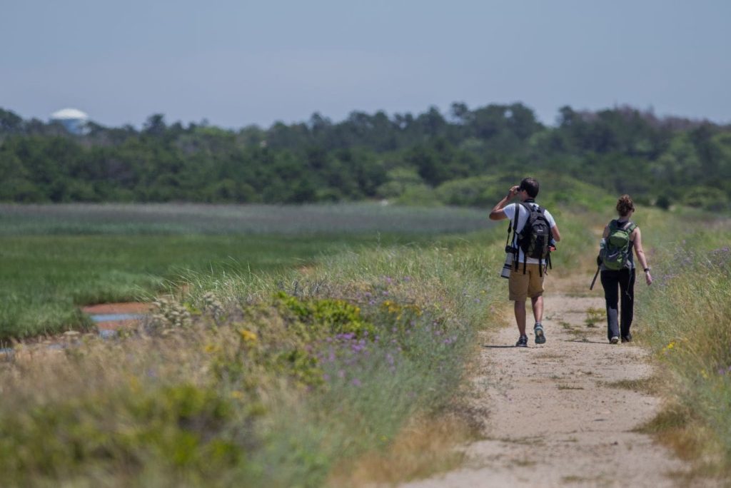 What is the big difference between a Cape Cod and Cape Ann?