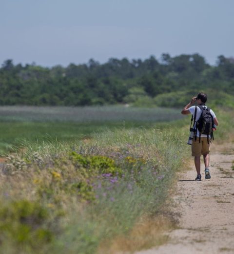 Bunker Hill: The Battle That Shaped American History