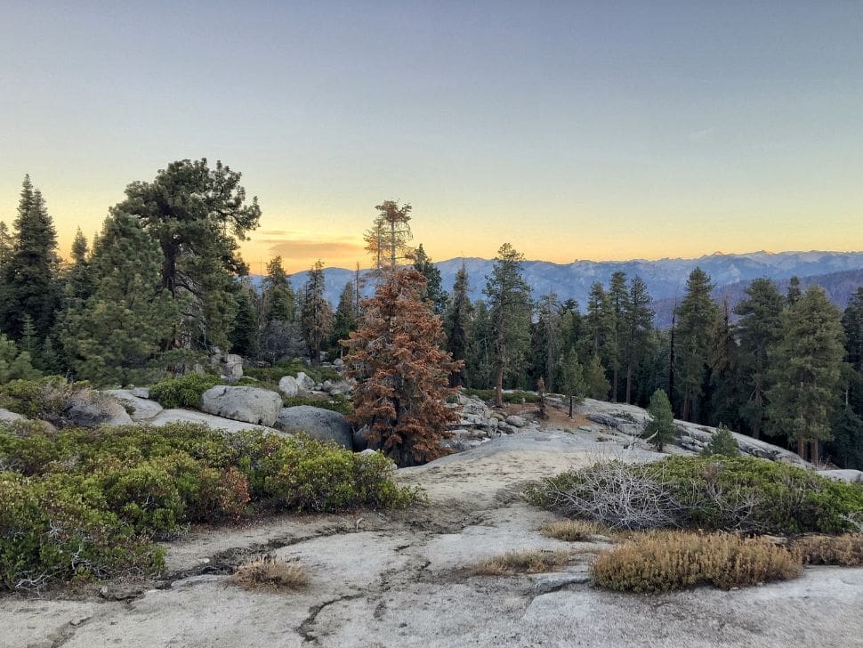 What Are the Rules and Regulations for Sequoia National Park?
