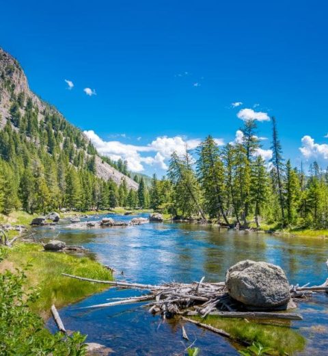 Which national park is better Yellowstone or Grand Teton?