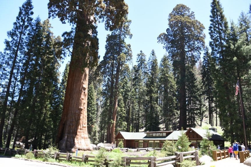 How Many Visitor Centers Are There in Sequoia National Park?