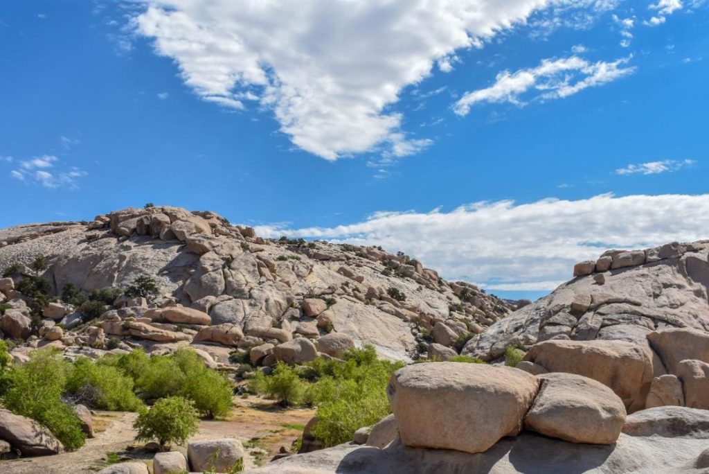 Explore the Best Hikes in Joshua Tree National Park