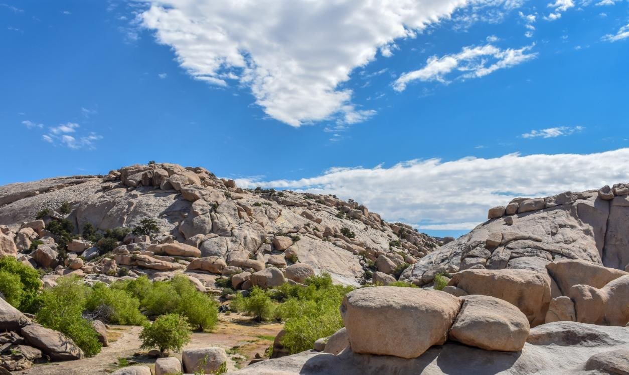 Explore the Best Hikes in Joshua Tree National Park