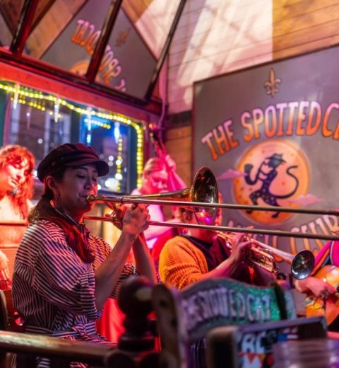 What Are Some New Orleans Day Trips?