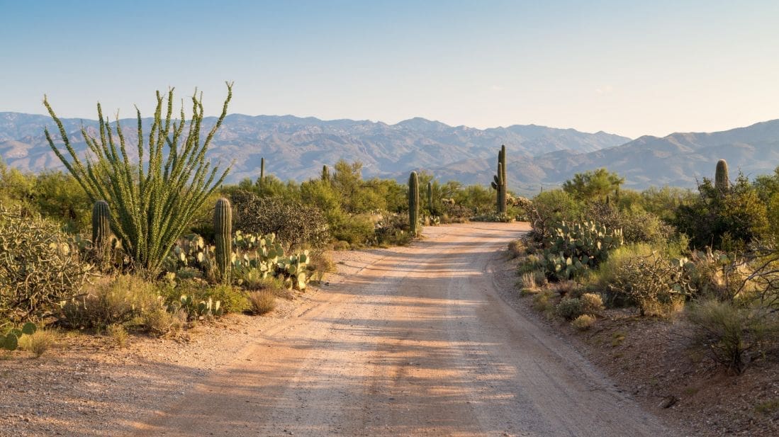 Should I Visit Saguaro West or Saguaro East?