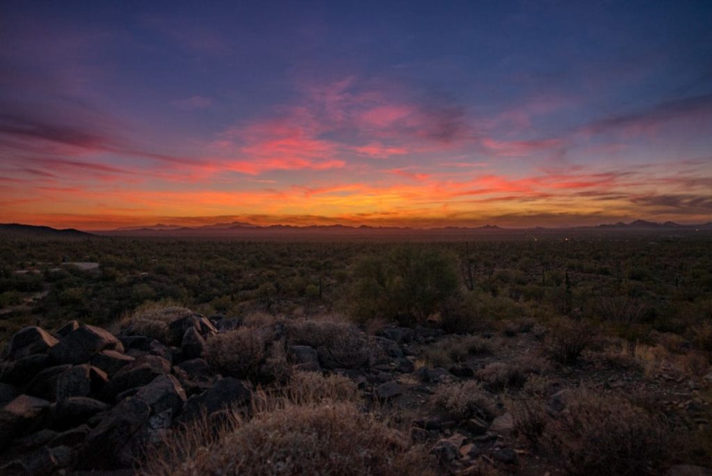 Why Visit Saguaro National Park?