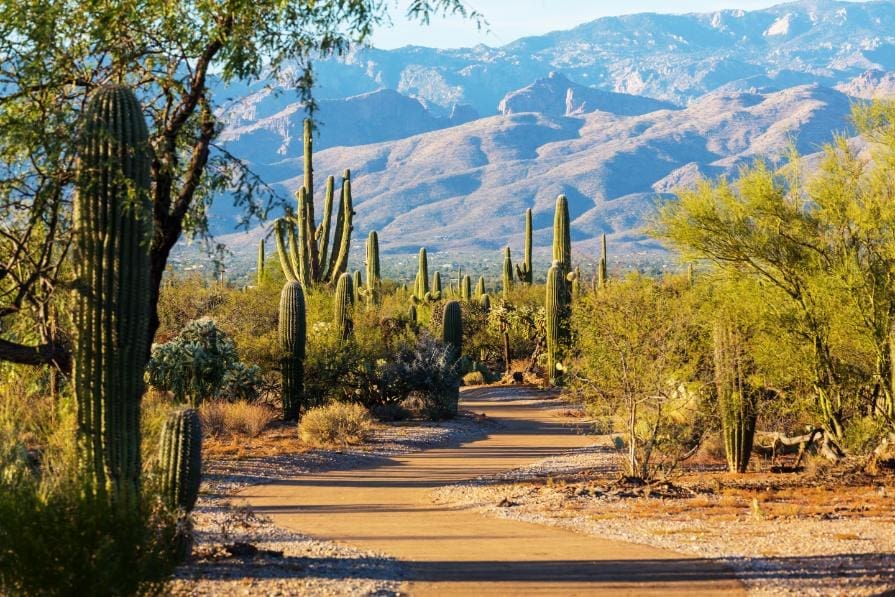 Where Should I Stay Near Saguaro National Park?