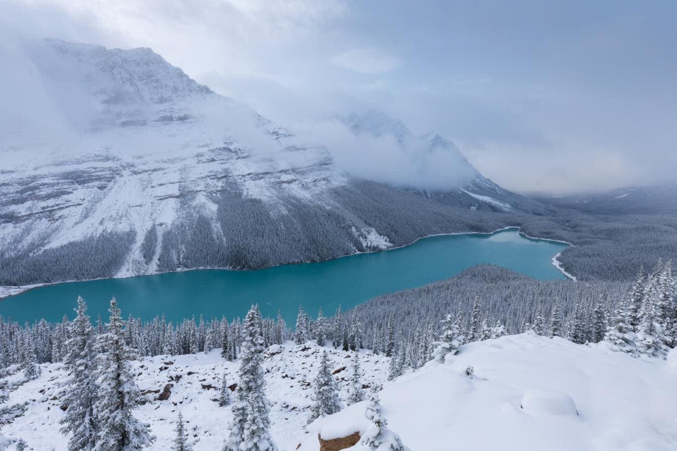 How to visit Lake Louise and Moraine?