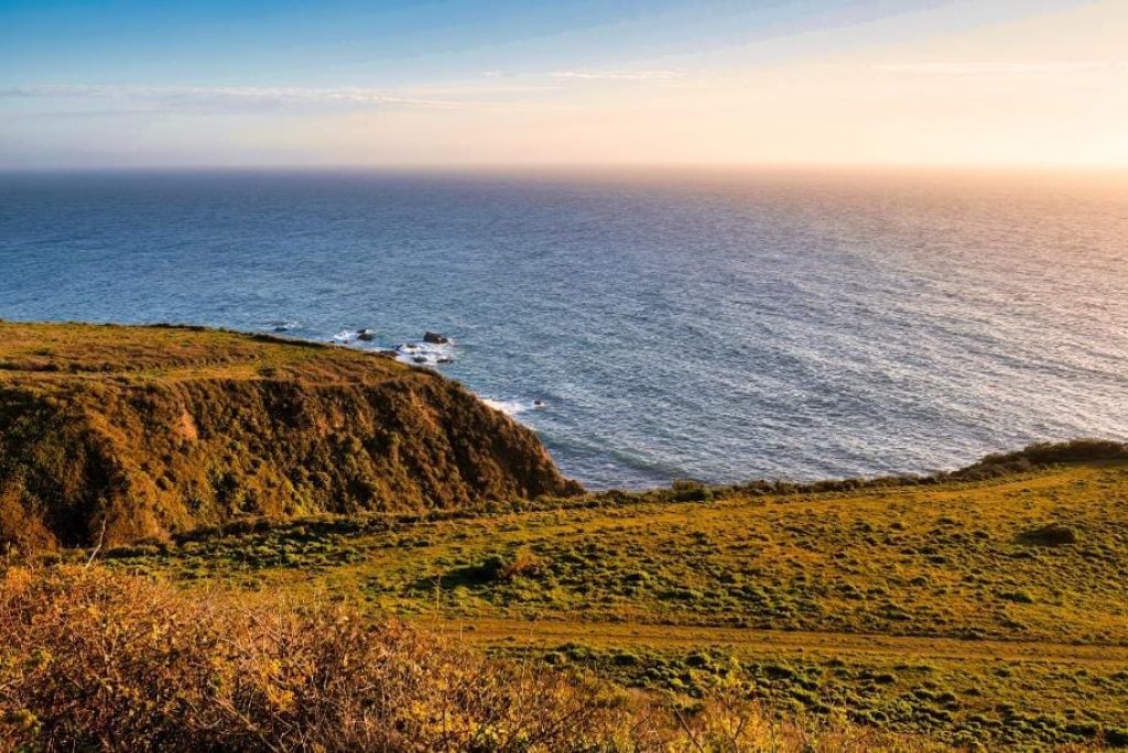 Why visit Big Sur’s blooming wildflowers in late February?