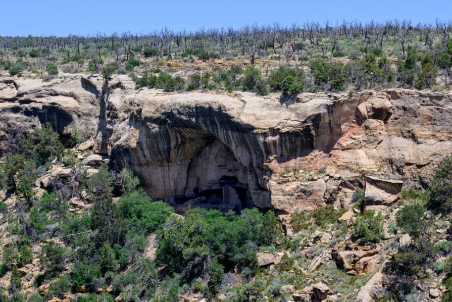What is the History of Mesa Verde National Park?