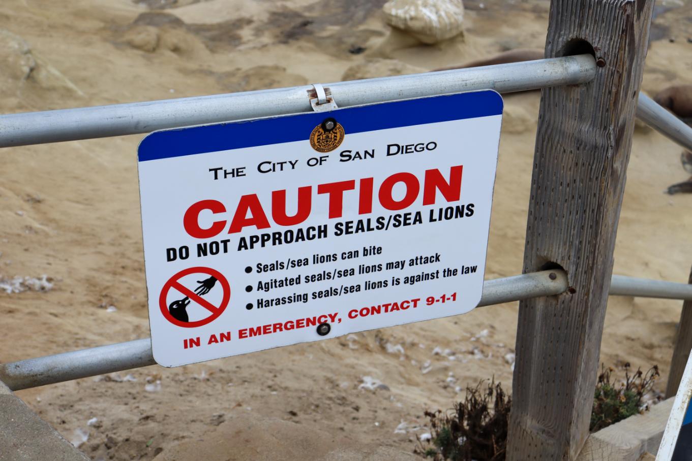 What Are the Rules at La Jolla Cove?