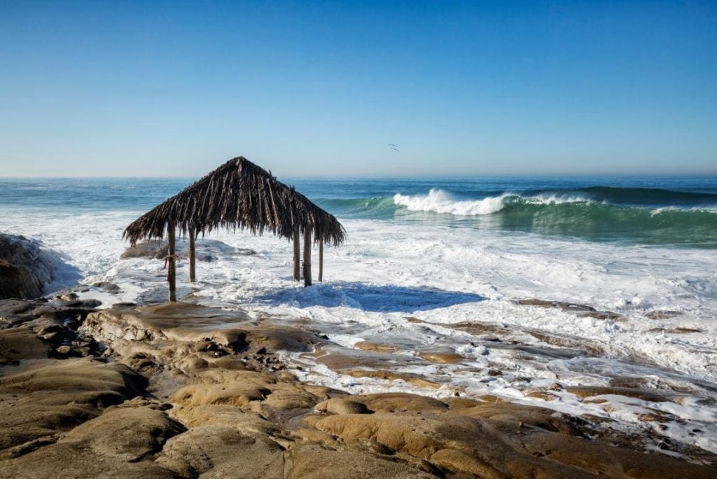 Is La Jolla Cove Worth Visiting?