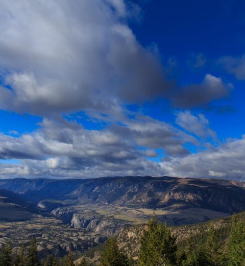 Is Yellowstone better than Banff?