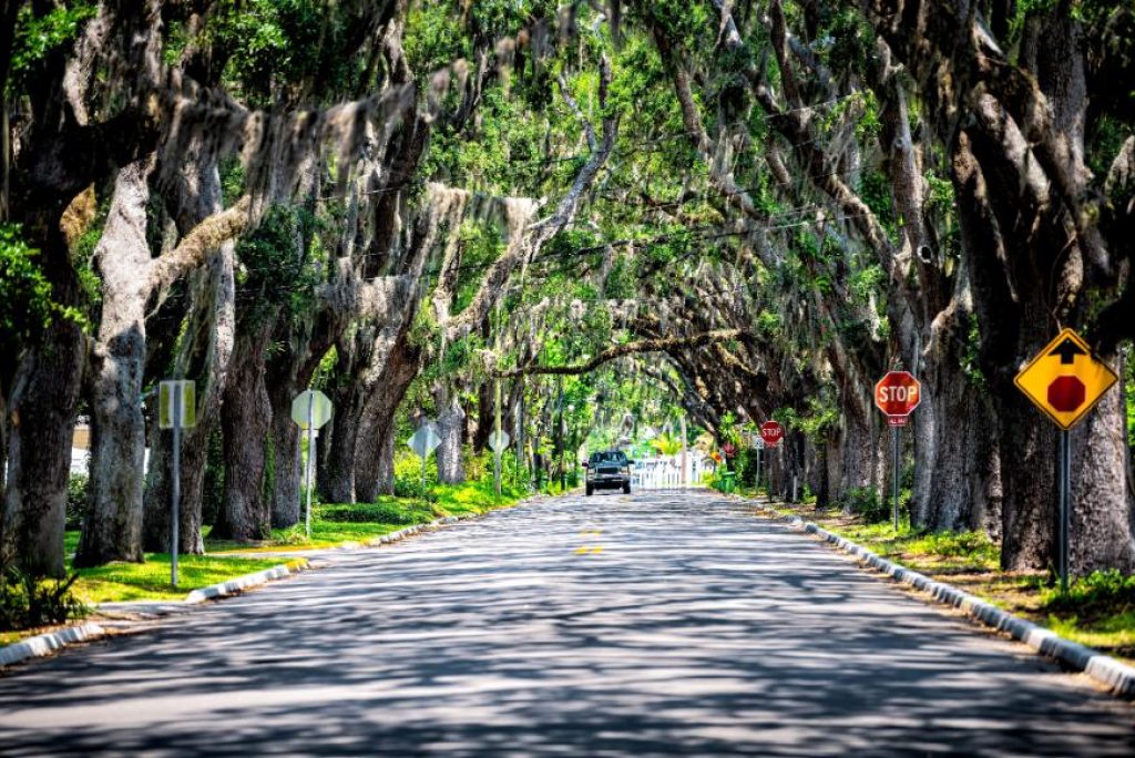 What is the most beautiful street in St. Augustine?