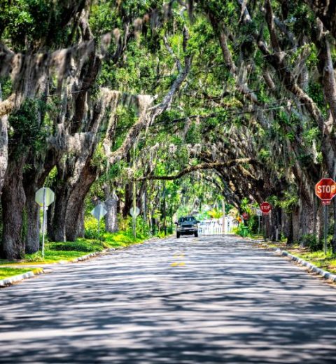 What are the Nights of Lights in St. Augustine?
