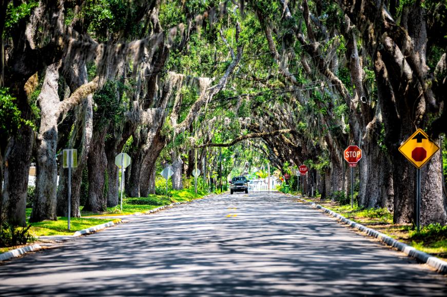 What is the most beautiful street in St. Augustine?