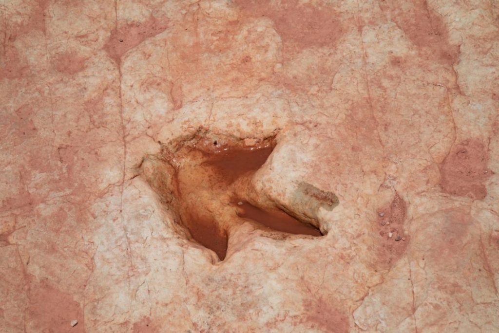 Are the dinosaur tracks in Arizona real?