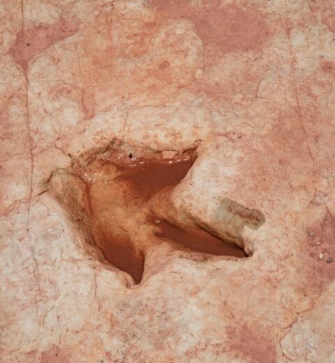 Is Sedona worth driving through?