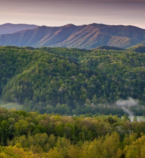 Is February a good time to visit the Great Smokies?