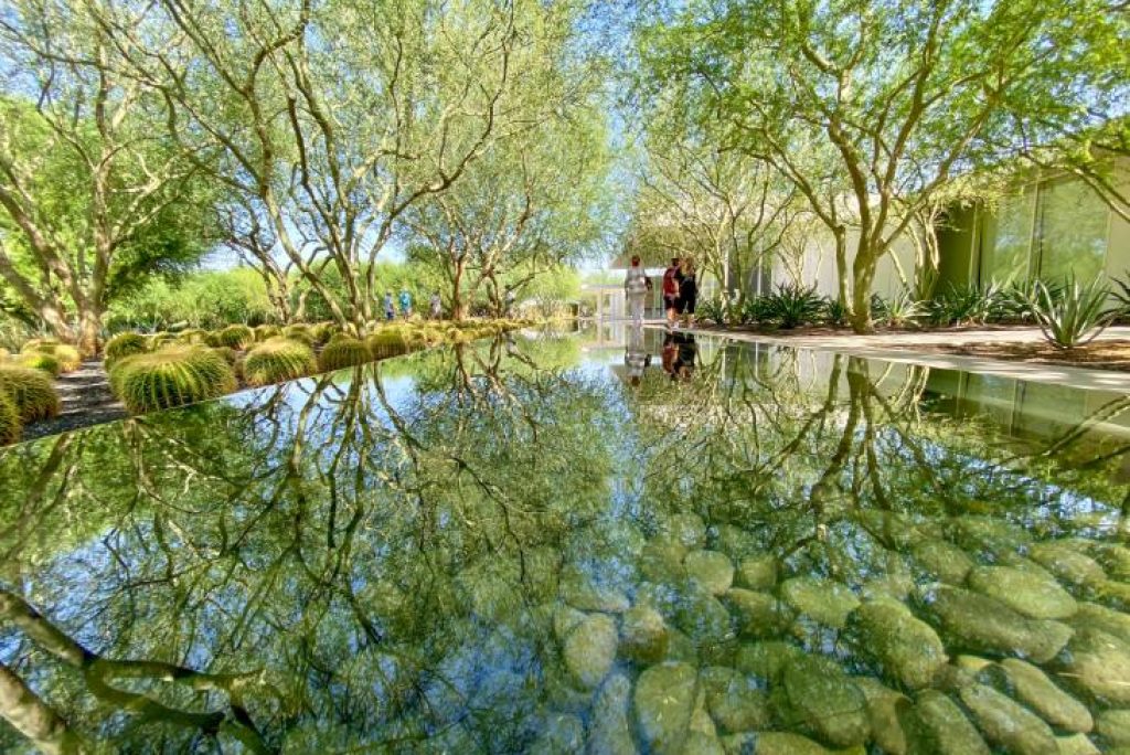 Palm Springs in May: Top Things to Do