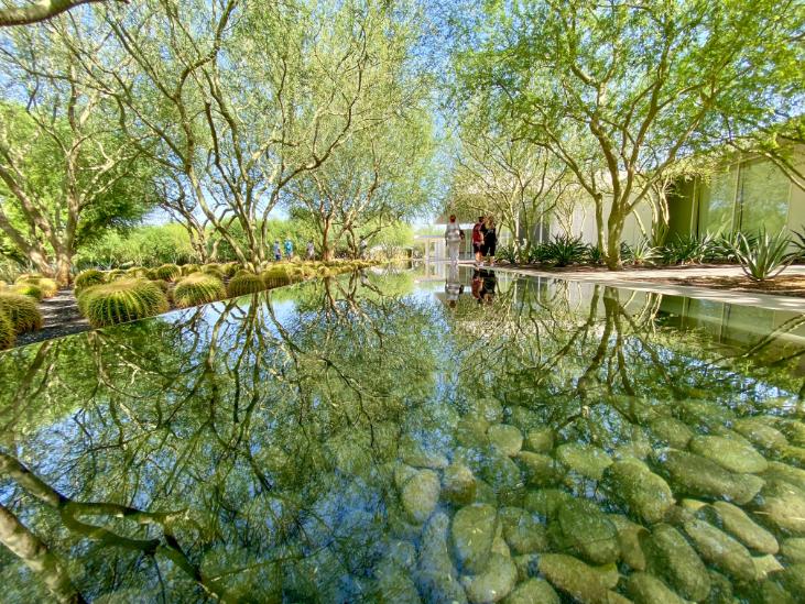 Palm Springs in May: Top Things to Do