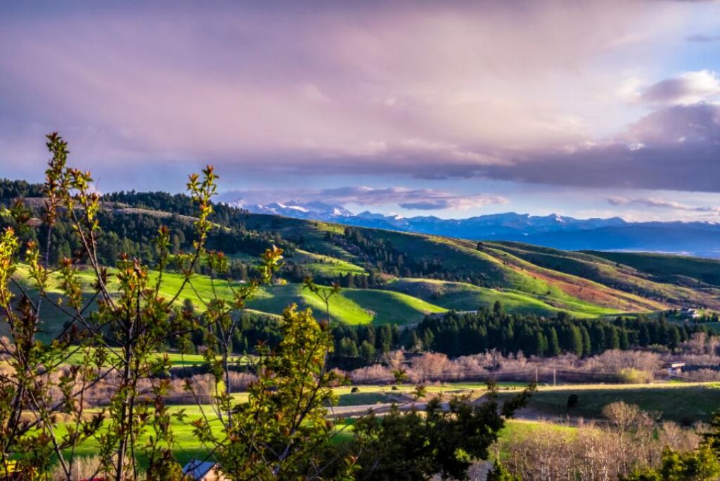 Summer Tips for Big Sky