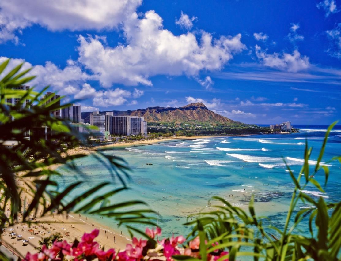 Should I Visit Honolulu?