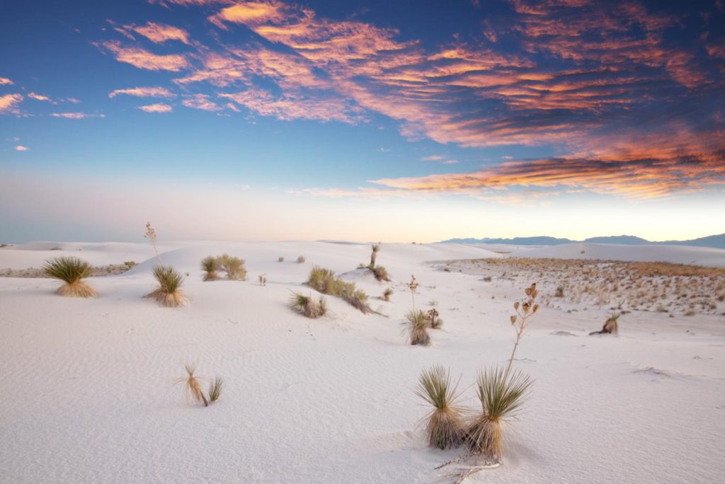 What’s So Special About White Sands National Park?