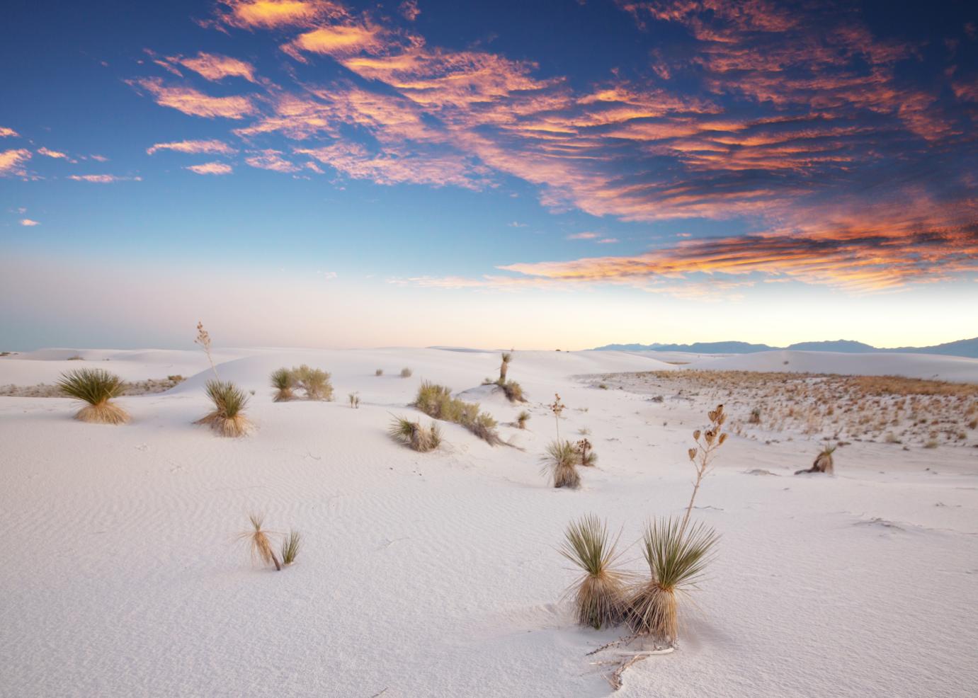 What’s So Special About White Sands National Park?