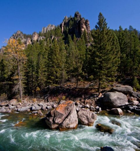 Are there national parks near Big Sky, Montana?