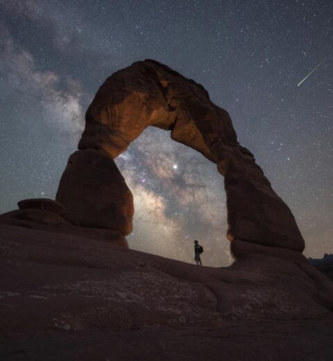 Are dogs allowed at Delicate Arch Trail?