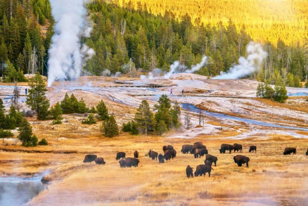Yellowstone: More Than Just a Park