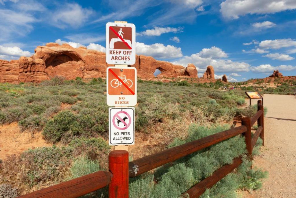 Are dogs allowed at Delicate Arch Trail?