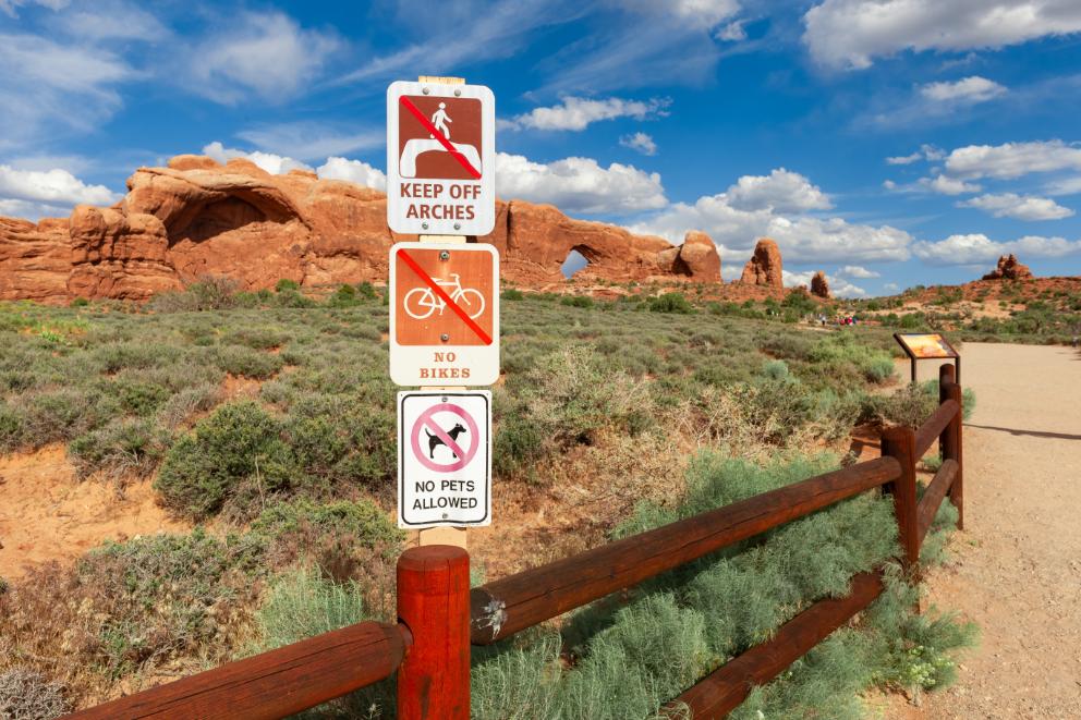 Are dogs allowed at Delicate Arch Trail?