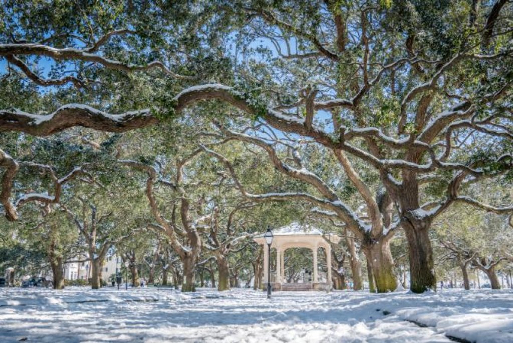 Charleston: A Charming Southern Escape