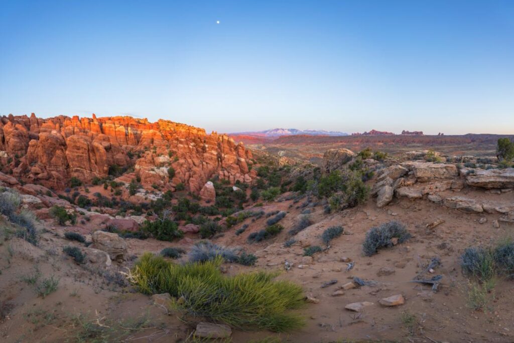 Arche’s most challenging trail awaits you! Action Tour Guide