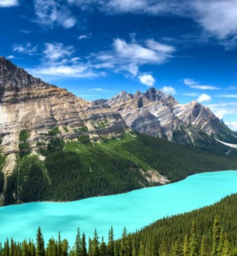 Discovering the Northern Lights on a Self-Guided Golden Circle Tour in Iceland