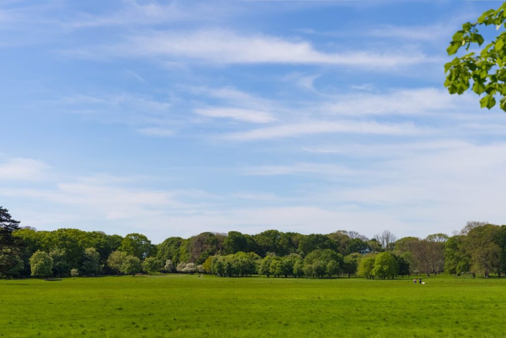 Where to visit in Dublin for the first time?