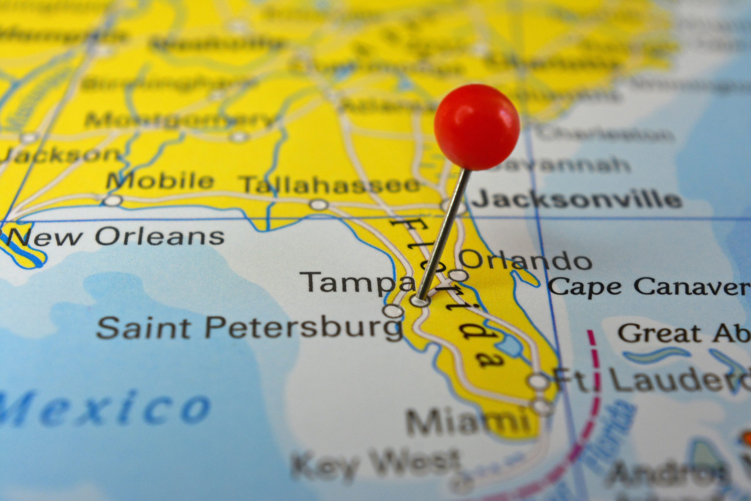 Is Tampa Worth Visiting? Here’s Why It Might Surprise You!