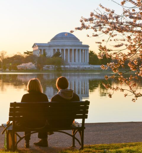 What is the best time of year to visit Washington DC?