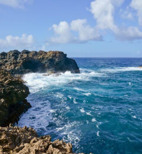 Ultimate East Coast Road Trip: Best Stops & Travel Tips